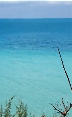 Beach in Qarsherskiy Overseas Territories